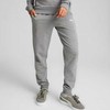 Puma kelnės