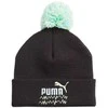 Puma kepurė