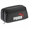 Puma didelė pieštukinė
