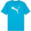 Puma marškinėliai