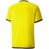 Puma marškinėliai