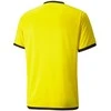 Puma marškinėliai
