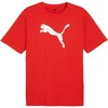 Puma marškinėliai