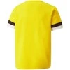 Puma marškinėliai