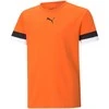 Puma marškinėliai