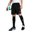 Puma šortai