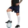 Puma šortai