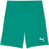 Puma šortai