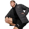 Puma striukė