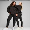 Puma tamprės