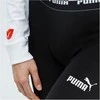 Puma tamprės