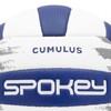 Spokey kamuolys