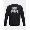 Under Armour džemperis