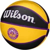 Wilson kamuolys
