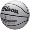 Wilson kamuolys