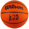 Wilson kamuolys