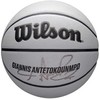Wilson kamuolys
