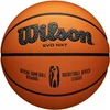 Wilson kamuolys