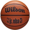 Wilson kamuolys