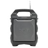 Denver TSP-203 20 W Rankinė masinio informavimo (PA) sistema Juoda