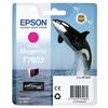Epson T7603 | Rašalo kasetė | Magenta
