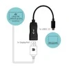 I-tec C31DP60HZP vaizdo kabelio adapteris 0,15 m USB-C 3.1 DisplayPort Juoda