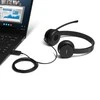 Lenovo 100 Stereo USB Ausinės