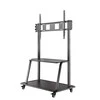 Laikiklis Neomounts Newstar NS-M4000 2,67 m (105") Juoda