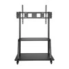 Laikiklis Neomounts Newstar NS-M4000 2,67 m (105") Juoda