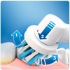 Braun Oral-B Vitality 80312499 elektrinis dantų šepetėlis Suaugusiems Besisukantis vibruojantis dantų šepetėlis Juoda, Balta