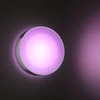 Philips Hue Sieninis lauko šviestuvas Daylo