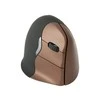 Pelė Evoluent VerticalMouse 4 wireless Right Hand Version