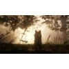 Žaidimas Rockstar Games Red Dead Redemption 2: Standard Edition PS4
