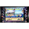 Sony Street Fighter 30th Anniversary Collection, PS4 PlayStation 4 Pagrindinis