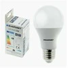 Blaupunkt LED lemputė E27 12W natūrali spalva