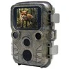 Braun bėgių stebėjimo kamera Scouting Cam Black800 Mini