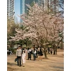 Candido filmas Colour 200/36 CANDIDO200 ()