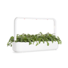 Click And Grow Click &amp; Grow sėklos išmaniajam vazonui - Vainikinė skaistažiedė (SGR81X3) 3vnt.
