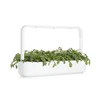 Click And Grow Click & Grow sėklos išmaniajam vazonui - Vainikinė skaistažiedė (SGR81X3) 3vnt.