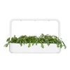 Click And Grow Click &amp; Grow sėklos išmaniajam vazonui - Vainikinė skaistažiedė (SGR81X3) 3vnt.