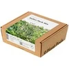 „Click & Grow“ augalų ankštys, itališkų žolelių mišinys, 9 vnt.