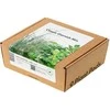 „Click &amp; Grow“ augalų ankštys, klasikinis garnyro mišinys, 9 vnt.