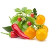Click&amp;Grow Vaisių ir daržovių mišinys 9 vnt.