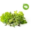 Click &amp; Grow sėklos išmaniajam vazonui - Žolelės mėsai, 9vnt.