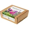Click And Grow Click &amp; Grow Plant Pods 9-Pack - Vibrant Flower Mix