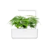 Click &amp; Grow sėklos išmaniajam vazonui - Plunksnašakis smidras (SGR80X3) 3vnt.