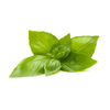 Click And Grow Click &amp; Grow sėklos išmaniajam vazonui - Citrininis bazilikas (SGR100X3) 3vnt.