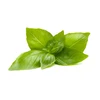 Click And Grow Click & Grow sėklos išmaniajam vazonui - Citrininis bazilikas (SGR100X3) 3vnt.