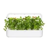 Click And Grow Click &amp; Grow sėklos išmaniajam vazonui - Citrininis bazilikas (SGR100X3) 3vnt.