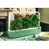 Click & Grow Smart Garden 9, žalias
